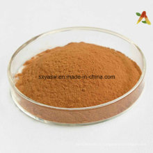 Acide tannique naturel N ° CAS 1401-55-4 Extrait de Galla Chinensis